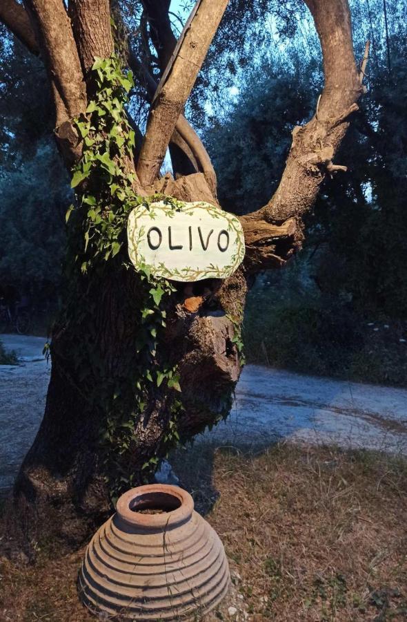 Apartmán Olivo Nydri Exteriér fotografie