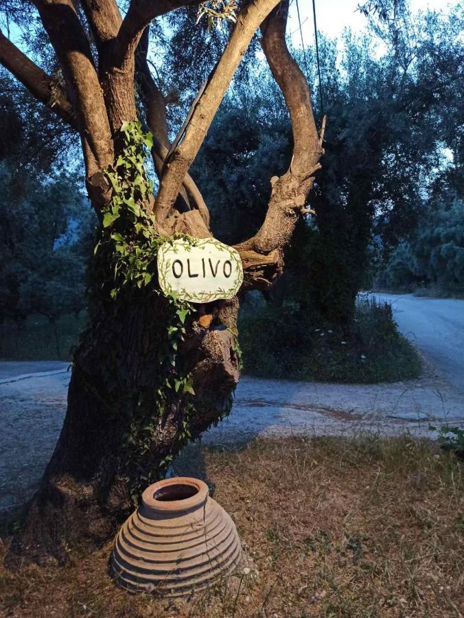 Apartmán Olivo Nydri Exteriér fotografie