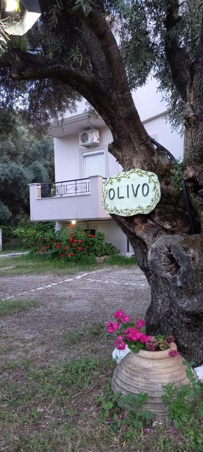 Apartmán Olivo Nydri Exteriér fotografie