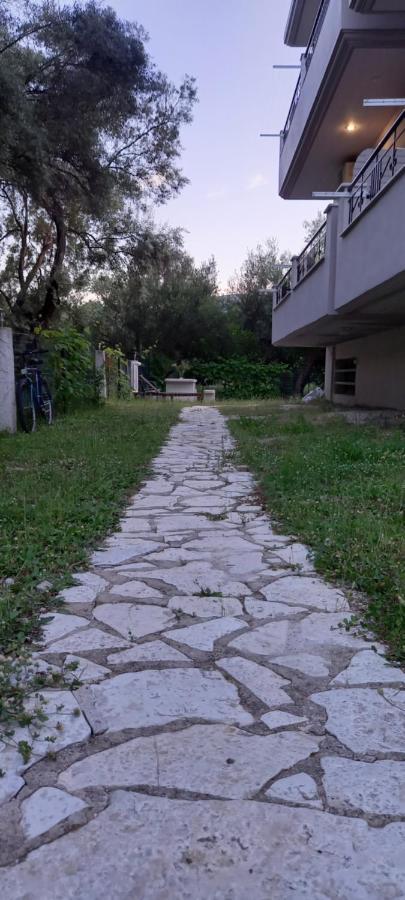 Apartmán Olivo Nydri Exteriér fotografie